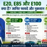 खाद्य पदार्थों में इस्तेमाल होने वाले E20, E85 और E100 क्या हैं? जानिए फायदे और नुकसान